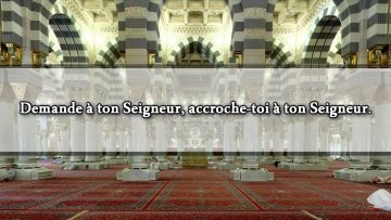 Se frotter aux murs et aux piliers des mosquées sacrées ? – Sheikh Salih As-Souhaymi