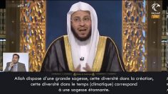 Sénerver de la forte chaleur – Sheikh Aziz Farhan Al Anizi