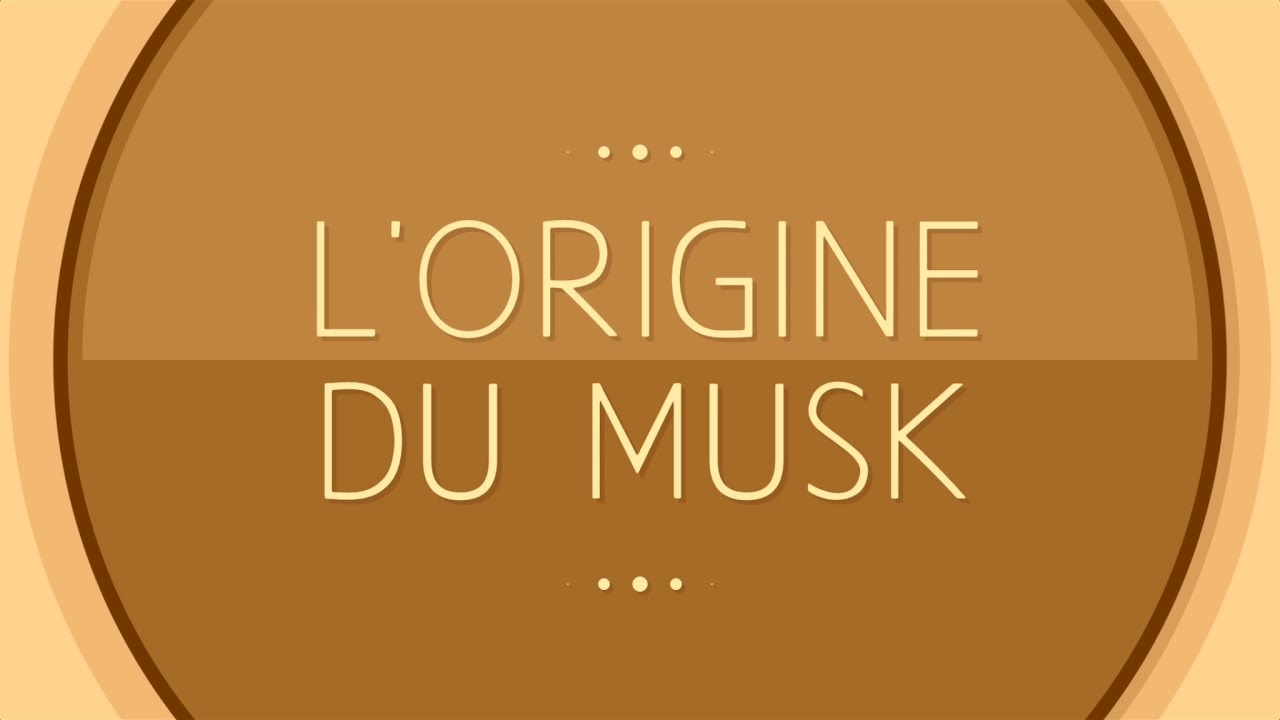 SH.IBN OTHAYMIN : LORIGINE DU MUSK PAR SH.SA3DI