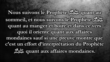 Signification de : “Vous êtes les plus savants des affaires de votre vie ici-bas”