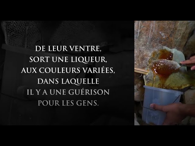 Sourate 16 An-Nahl (les Abeilles) Verset 68/69