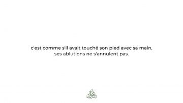 Toucher son sexe annule-t-il les ablutions ? – Sheikh Ibn Uthaymin