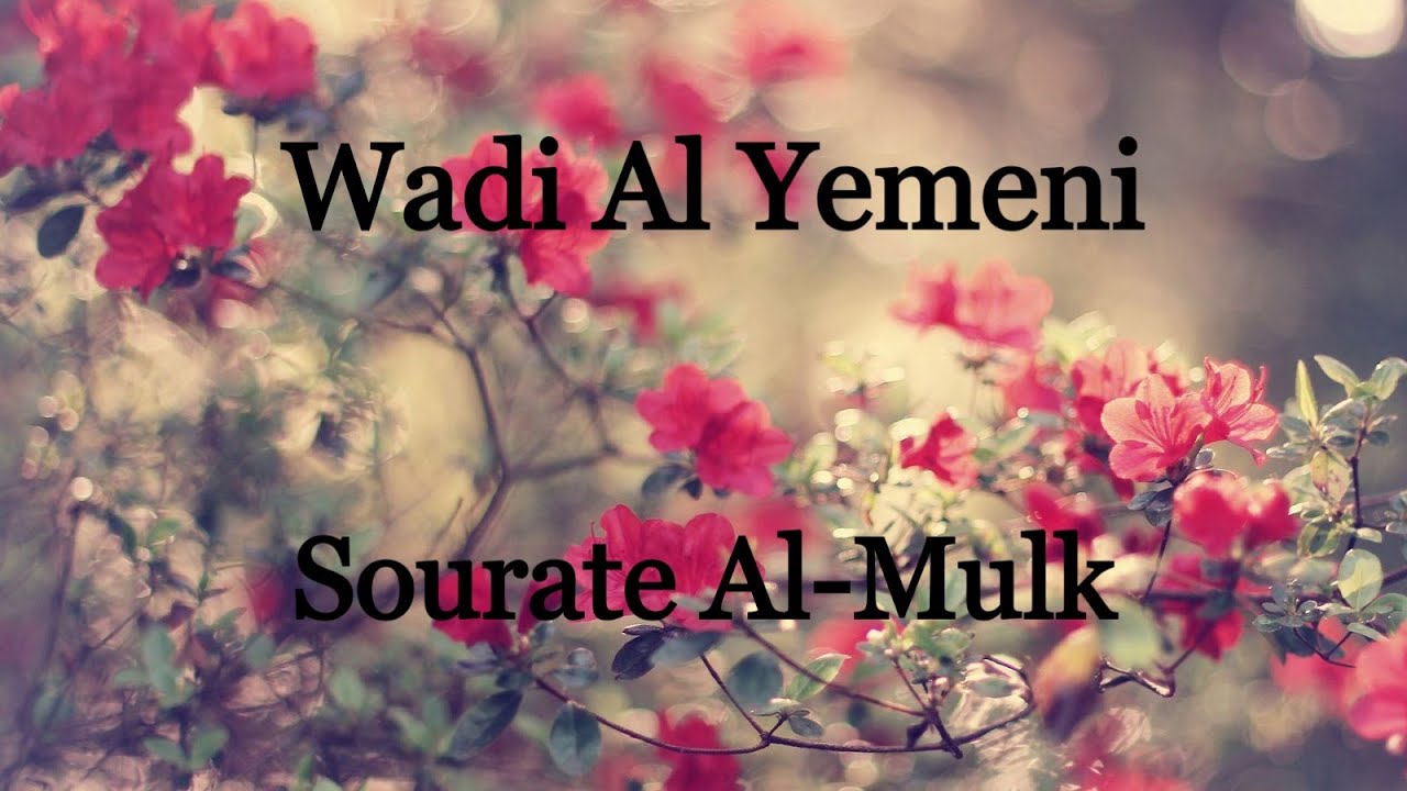 Wadi Al Yemeni – Sourate Al-Mulk