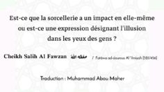 Est-ce-que la sorcellerie a un impact en elle-même ou est-ce une expression désignant lillusion….