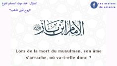 Où va lâme après la mort ?  | Sheykh Ibn Bâz رحمه اللّٰه