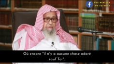 Sheikh Salih Al Fawzan, (quAllah le préserve) sur lexplication de la parole dunicité