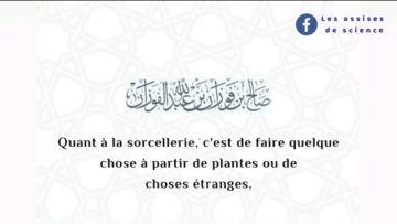 Quelle est la différence entre la sorcellerie et la voyance ? | sheikh Salih Al Fawzan حفظه الله