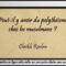 Peut-il y avoir du polythéisme chez les musulmans ? – Cheikh Raslan