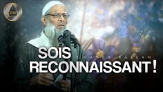 Sois reconnaissant et baisse ton regard ! | Chaykh Raslan