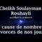 Cheikh Soulayman Rouhayli – La cause de nombreux divorces de nos jours