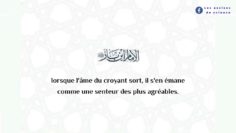 Où va lâme après la mort ? | cheikh Ibn Bâz رحمه اللّٰه