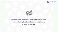 Est-il permis de tuer les fourmis avec un insecticide ?  | Shaykh Sulaymân Ar-Ruhayli حفظه الله