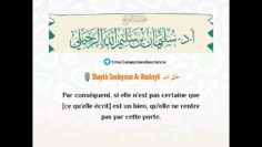 Prends garde à ce que tu postes … | Shaykh Souleymân Ar-Rouheylî حفظه اللّٰه