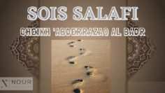 Cheikh Abdarrazaq al Badr – Sois salafi