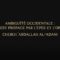 AMBIGUÏTÉ OCCIDENTALE : L’ISLAM S’EST PROPAGÉ PAR L’ÉPÉE ET L’OPPRESSION – Cheikh AbdAllah Al-‘Adani