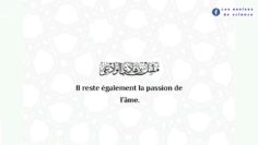 Conflits pendant Ramadhân : ce sont alors elles qui appellent aux troubles !  | Shaykh Muqbil