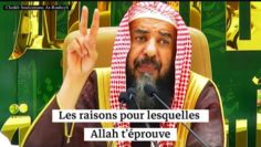 📲Les raisons pour lesquelles Allah t’éprouve. Cheikh Souleymane Ar-Rouheyli