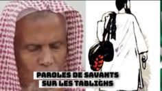 Des paroles de savants sur le groupe Tablighs. Cheikh Mohamed Saghir Akour