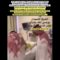 Cheikh Luhaydan qu’Allah le guérisse fait des recommandations au roi Salman qu’Allah le préserve