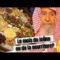 Le mois du ramadan n’est pas le mois de la nourriture. Cheikh Salah Al-Fawzan