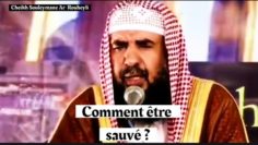 Comment être sauvé ? Cheikh Souleymane Ar-Rouheyli