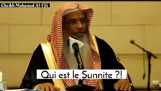 Qui est le sunnite? Cheikh Mohamed Al-Fifi
