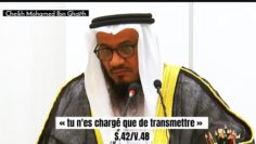 📲Tu n’es chargé que de transmettre. Cheikh Mohamed Ghaïth