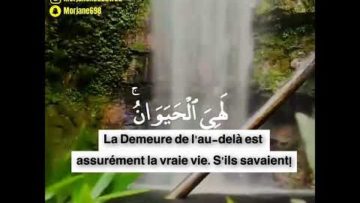 Cette vie n’est qu’un jeu !