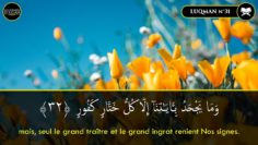 ﴾Seul le grand traître et le grand ingrat renient Nos signes﴿ | Sourate Luqman (31) | Idriss Abkar