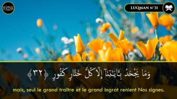 ﴾Seul le grand traître et le grand ingrat renient Nos signes﴿ | Sourate Luqman (31) | Idriss Abkar