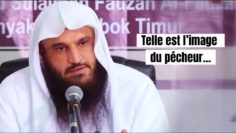 📲Telle est l’image du pécheur, petit à petit il s’enlise… 🎤 Cheikh AbderRazzaq Al-Badr