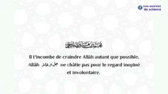 Baisser le regard, même si tu es en Occident (+ conseil de faire hijra) | Shaykh M.  Al Madkhali