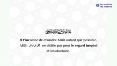 Baisser le regard, même si tu es en Occident (+ conseil de faire hijra) | Shaykh M.  Al Madkhali