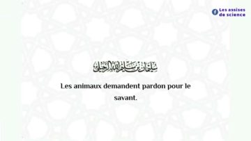 Aujourd’hui, certains érigent des sites dont le seul intérêt se porte à dénigrer les savants…