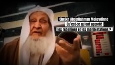 📲 Qu’est-ce qu’ont apporté les rebellions et les manifestations? 🎤 Cheikh AbderRahman Moheydinne