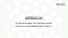 Voici le signe de l’allégeance véridique  / Shaykh Soulaymâne Ar Rouhaylî حفظه الله