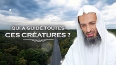 QUI A GUIDÉ TOUTES CES CRÉATURES ? – Shaykh Khalid Ismail