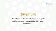 Faida magnifique pour lesnouhat en herbe ou pas… / Shaykh Al Oseymî حفظه الله