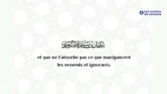 Allâh secourt celui qui secourt et préserve Sa religion quelles que soient leurs manigances