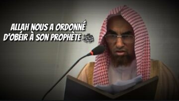 Privé : [ID: O3Bqab0k7Hs] Youtube Automatic