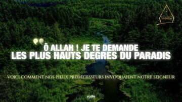 Privé : [ID: qPMeq35v6Q4] Youtube Automatic