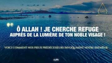 Privé : [ID: Sz9Fzb1wojI] Youtube Automatic