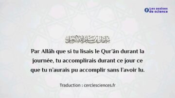 Privé : [ID: 4_4Pm_-YakM] Youtube Automatic