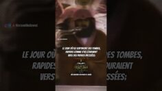 [ID: 9FMkaemj4ls] Youtube Automatic