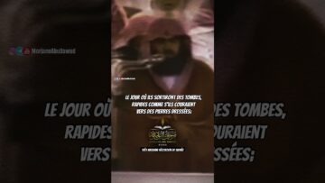 [ID: 9FMkaemj4ls] Youtube Automatic