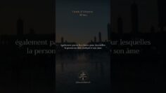 [ID: B7fb9U3FEWU] Youtube Automatic