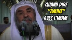 [ID: dP-KEZE9jck] Youtube Automatic