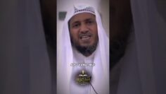 [ID: P2KVoEX8SWM] Youtube Automatic