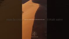 [ID: S1Emu5mm3o4] Youtube Automatic