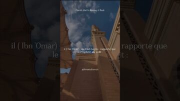 [ID: S9uo1XIx1uQ] Youtube Automatic